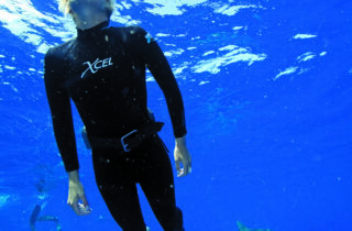 How to buy a SCUBA Diving Wetsuit