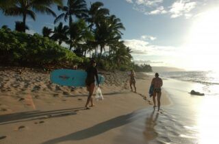 Surfing destination in Hawaii