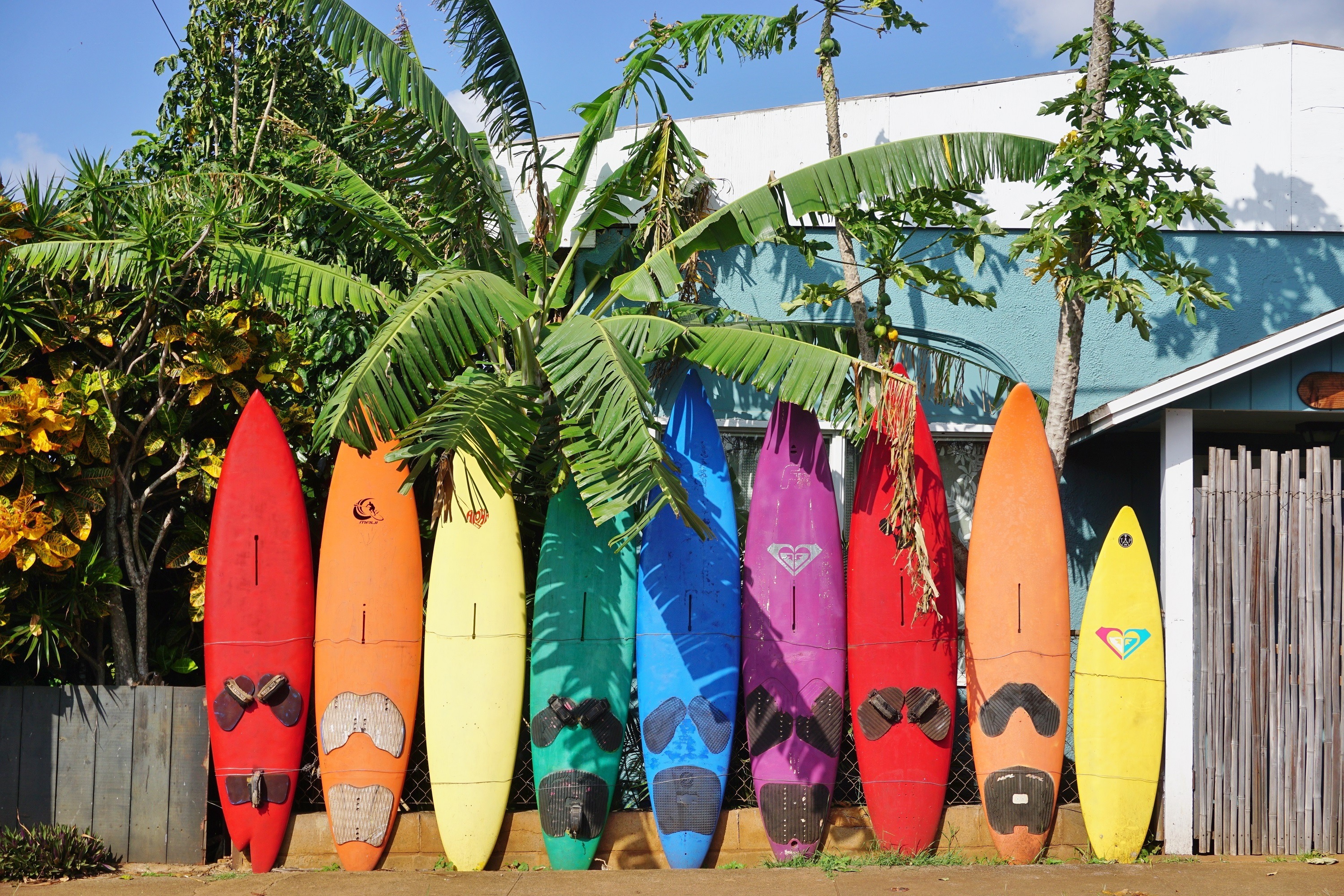 surfing tips for beginners surfboard