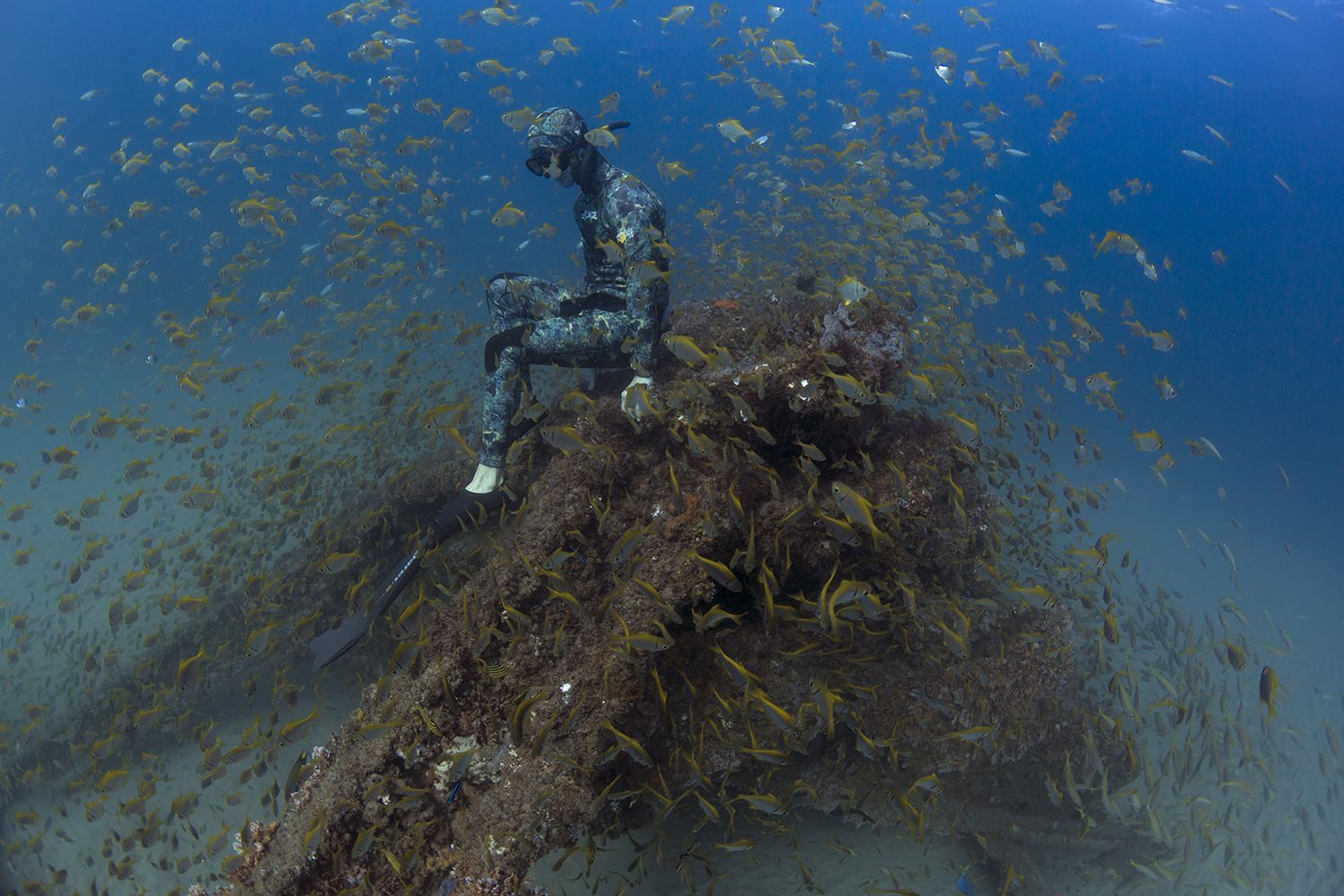 How Does SCUBA Diving Work? Wetsuit Wearhouse Blog