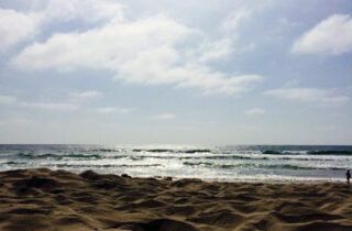 san diego surf spots