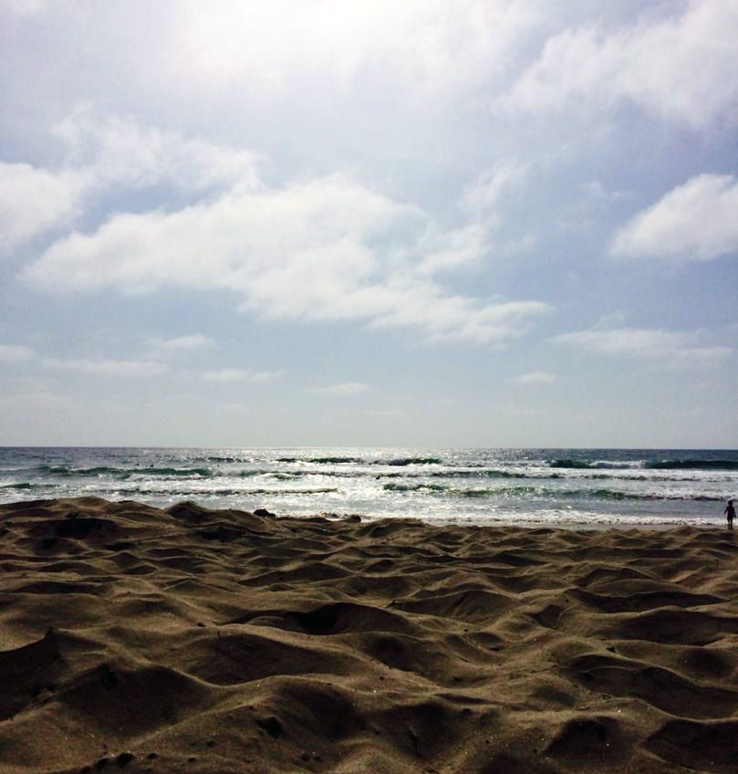 San Diego Surf Spots Where to Surf in San Diego Wetsuit Wearhouse