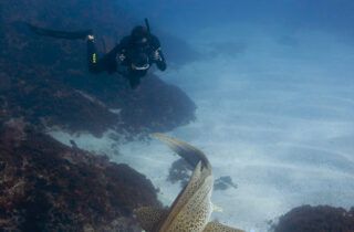 scuba diving in the uk