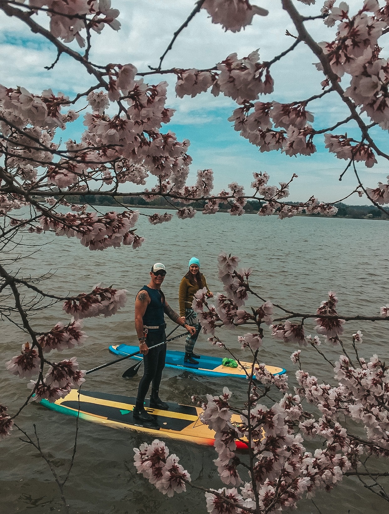 dc cherry blossom paddling