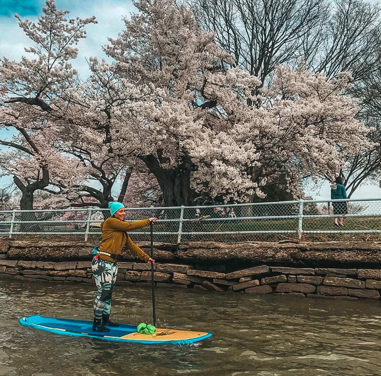 Your Guide to the Best DC Cherry Blossom Paddling