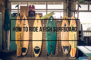 how to ride a fish surfboard