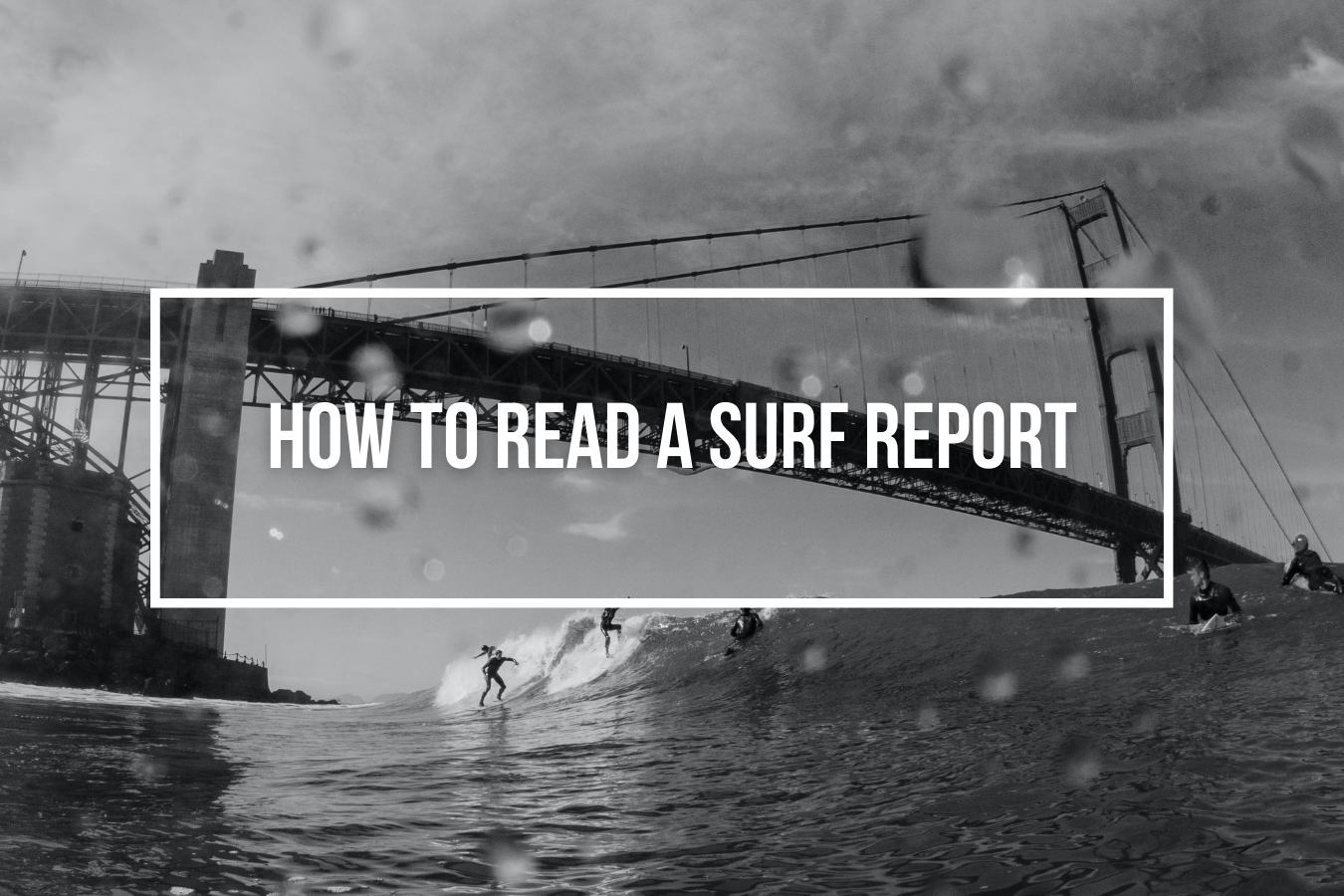 How to Correctly Read a Surf Report