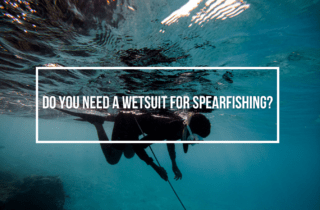 do you need a wetsuit for spearfishing