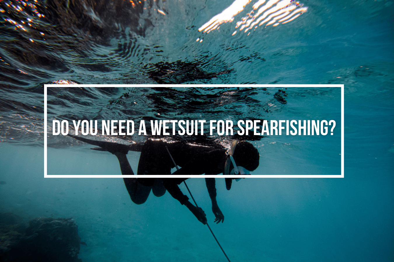 Do You Need A Wetsuit For Spearfishing? Wetsuit Wearhouse Blog