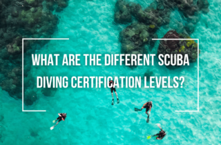 scuba diving certification levels