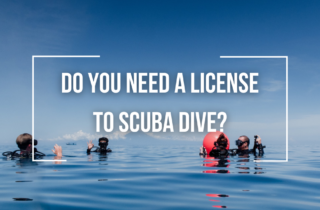 do you need a license to scuba dive