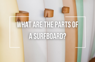 what are the parts of a surfboard