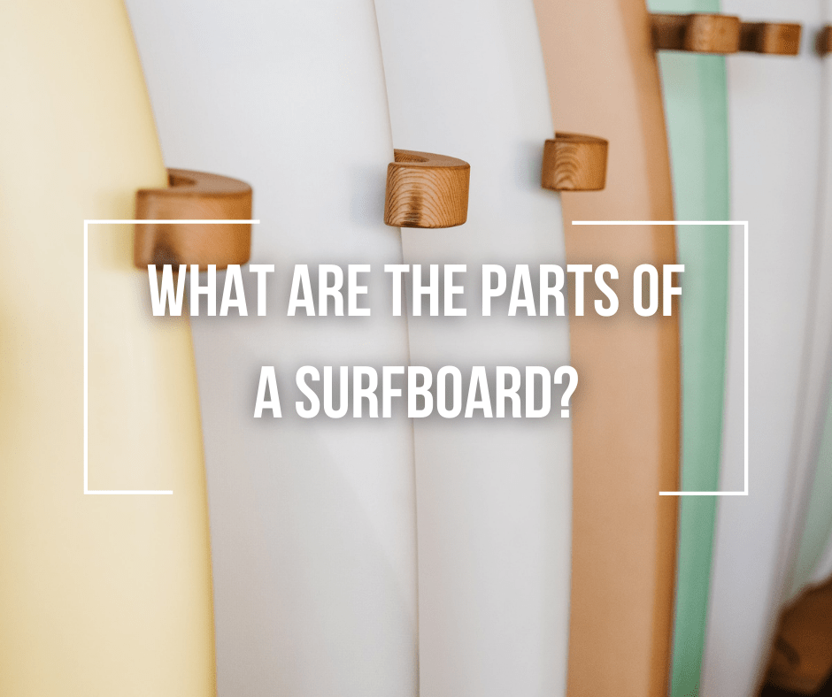 what-are-the-parts-of-a-surfboard-wetsuit-wearhouse-blog