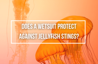 does a wetsuit protect against jellyfish stings