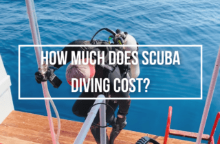 how much does scuba diving cost