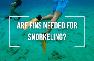 Are Fins Needed For Snorkeling?