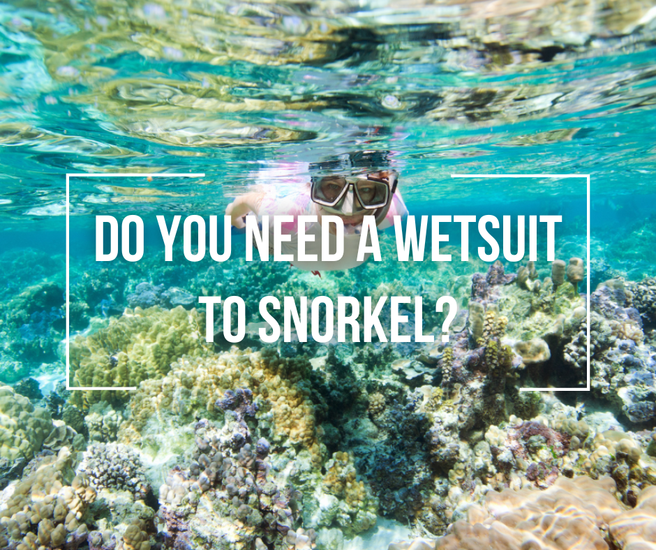Nederigheid Actief Oogverblindend Do You Need A Wetsuit To Snorkel? - Wetsuit Wearhouse Blog