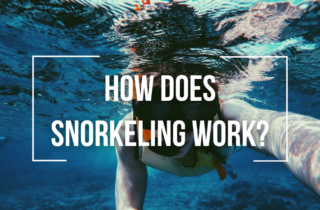 how does snorkeling work