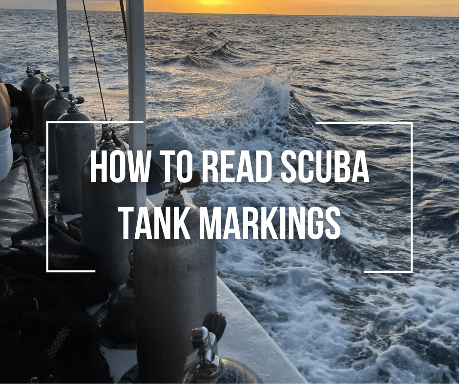 How To Read SCUBA Tank Markings Wetsuit Wearhouse Blog