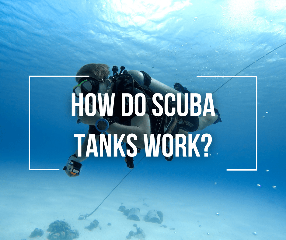 Scuba Tank Placement at Isabella Jolly blog