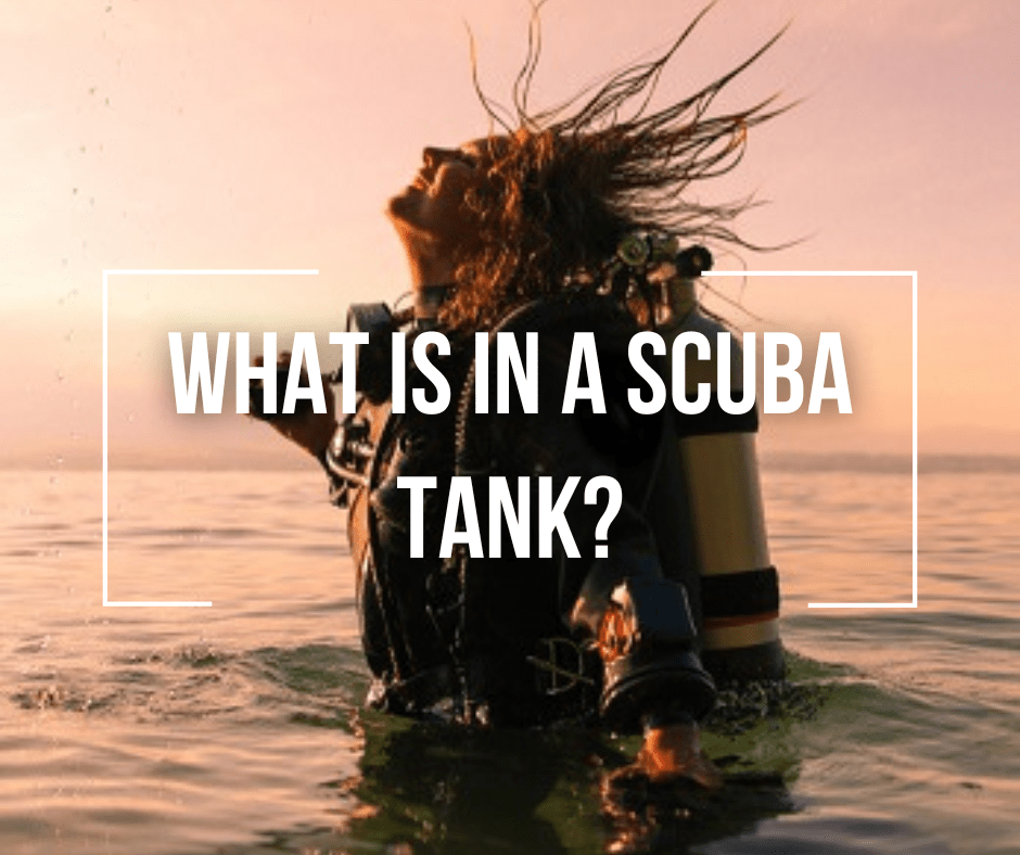 What Is In a Scuba Tank? Wetsuit Wearhouse Blog