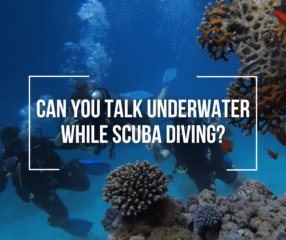 Can You Talk Underwater While SCUBA Diving? Wetsuit Wearhouse Blog