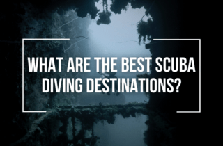 what are the best scuba diving destinations