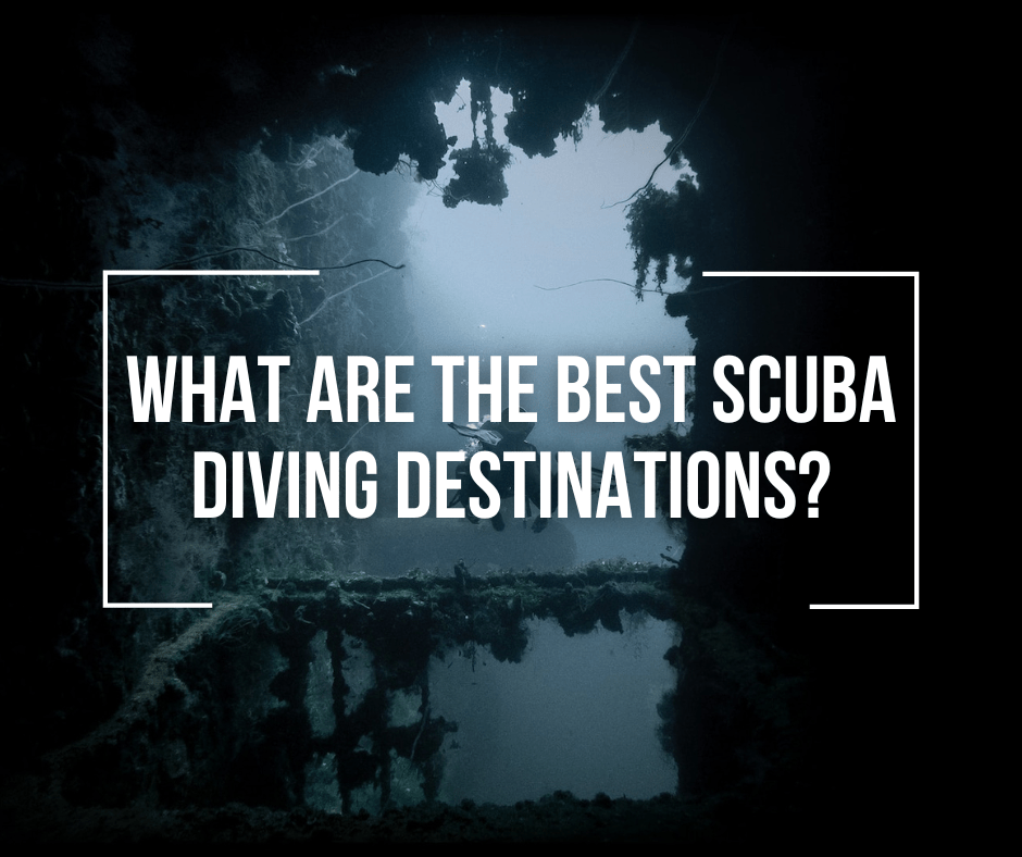 What Are The Best SCUBA Diving Destinations? Wetsuit Wearhouse Blog