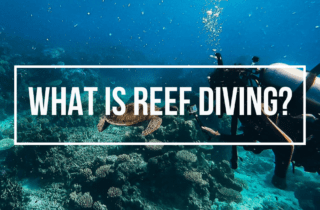 what is reef diving