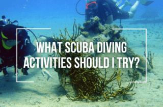 what scuba diving activities should i try