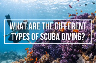 types of scuba diving