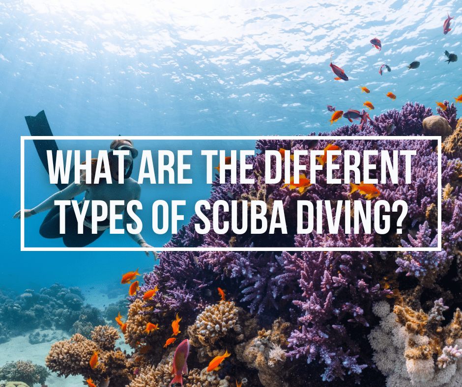 What Are The Different Types Of SCUBA Diving? - Wetsuit Wearhouse Blog