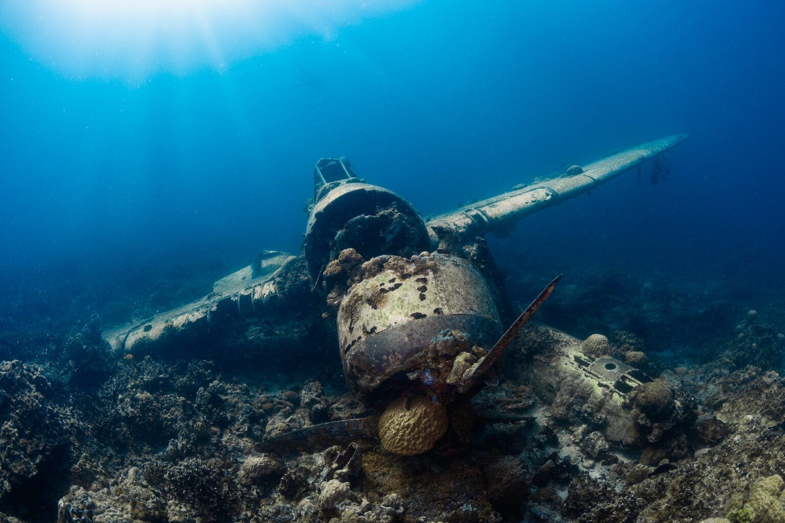 What Is Wreck Diving Wetsuit Wearhouse Blog what-is-wreck-diving-wetsuit-wearhouse-blog