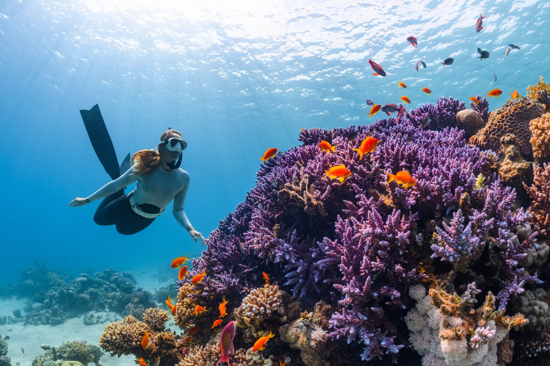 What Are The Different Types Of SCUBA Diving? Wetsuit Wearhouse Blog