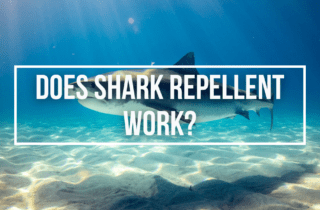 does shark repellent work