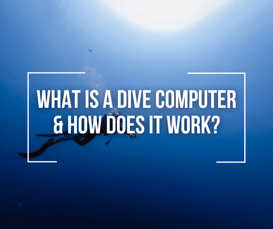 what-is-a-dive-computer-how-does-it-work-wetsuit-wearhouse-blog