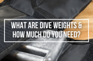 what are dive weights