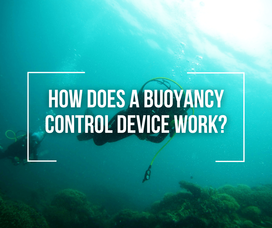 How Does A Buoyancy Control Device Work? Wetsuit Wearhouse Blog