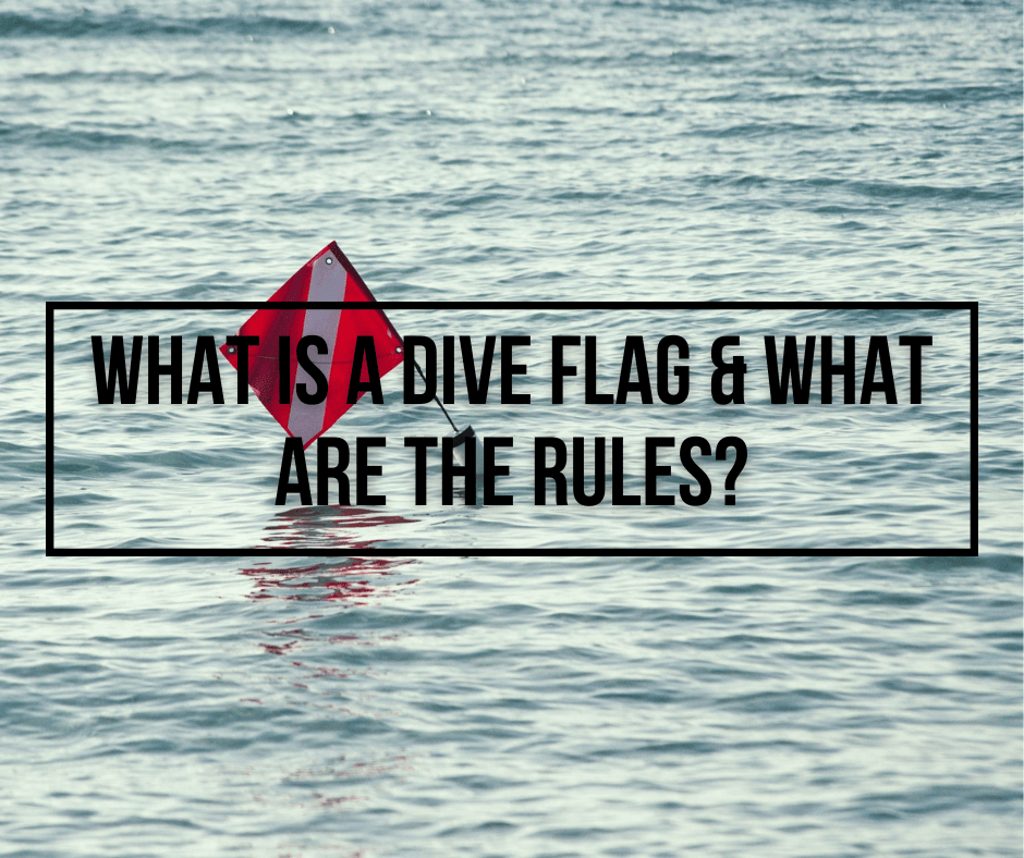 What Is A Dive Flag & What Are The Rules? - Wetsuit Wearhouse Blog