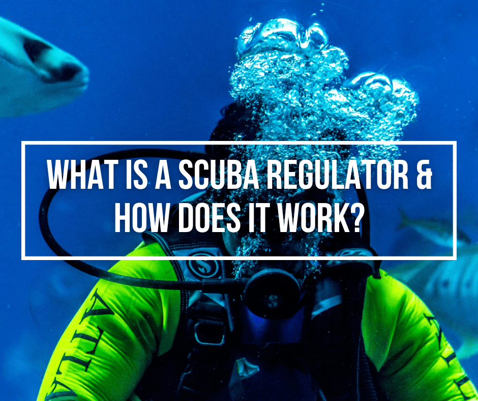 What Is A SCUBA Regulator & How Does It Work? Wetsuit Wearhouse Blog