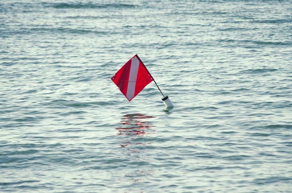 What Is A Dive Flag & What Are The Rules? - Wetsuit Wearhouse Blog