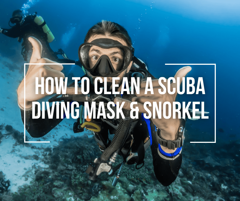 How To Clean A SCUBA Diving Mask & Snorkel Wetsuit Wearhouse Blog