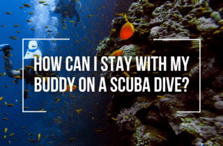 How Can I Stay With My Buddy On A SCUBA Dive?