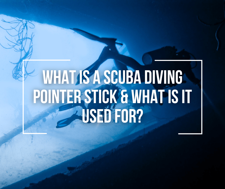 Scuba Diving 13-3/4 Fiber Glass Lobster Tickle Pointer Stick w