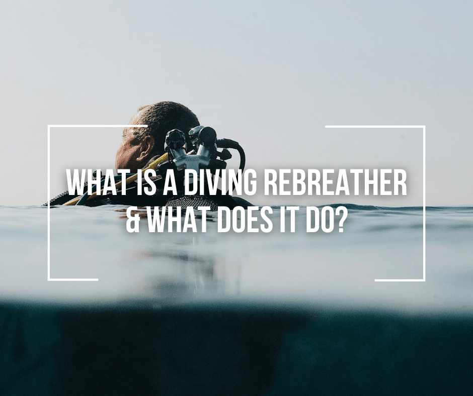 What Is A Diving Rebreather & What Does it Do? Wetsuit Wearhouse Blog
