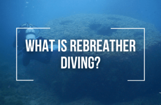 what is rebreather diving