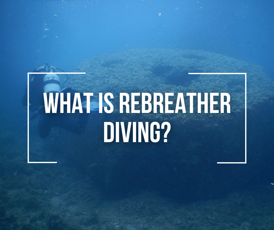 What Is Rebreather Diving? Wetsuit Wearhouse Blog