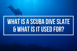 what is a dive slate