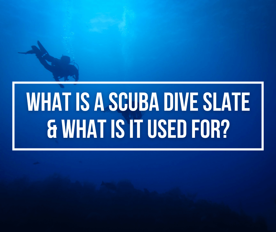 What Is A SCUBA Dive Slate & What Is It Used For? - Wetsuit Wearhouse Blog