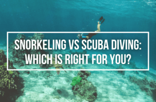 snorkeling vs scuba diving